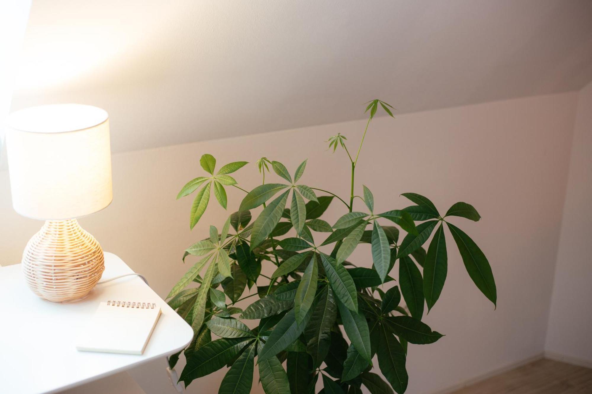 Jama - Altstadt, Wlan, Arbeitsplatz, Modern Boho #3 Wurtzbourg